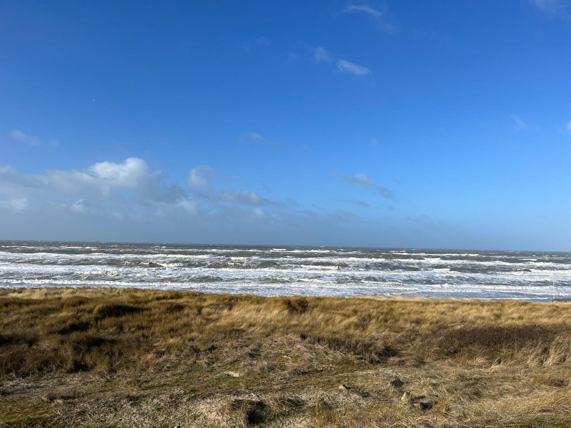 Modern Ingericht Vakantiehuis - Rust & Strand Op 350M Egmond aan Zee Buitenkant foto